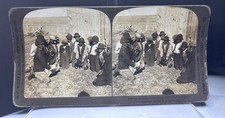 Antique 1901 H C White Stereoview Card ~ 5016 Rooster Fight ~ Farm picture
