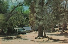 Postcard CA: Public Camp Grounds on the Kern River, California picture