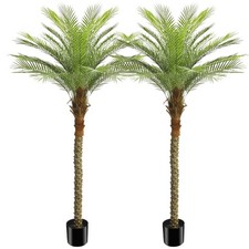 2 Pack 7ft Artificial Coconut Palm Tree, Fake Tropical Palm Plant Indoor Outdoor picture