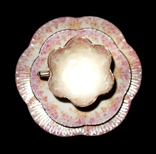 Rare Antique Wileman Foley China Trio 