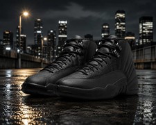 All Men's Size US Jordan 12 Retro 