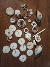 Lot of seashells from Papua New Guinea picture