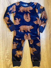 Carter's 2T 2PC Velour Snug Fit Bear Graphic Print Pajama Set Blue Brown picture