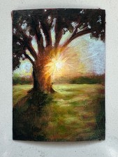 Signed Original Miniature Painting Realism Oak Tree  Golden Hour Sunset ACEO picture