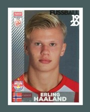 STICKER PANINI 2019/20 DANNI HAALAND ROOKIE #32 SILVER GREY ANASTATIC REPRINT picture