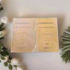 Andersonville Story of Rebel Prisons John McElroy RARE 1899 Civil War VOL 1&2 PB picture
