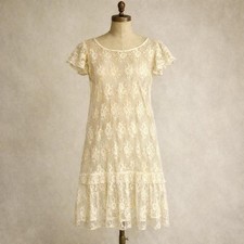 Antique 1920s Slip Dress Small Lace Sheer Negligee Edwardian Nightgown Lingerie picture