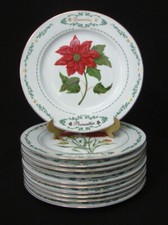 Domestications Salad Plates 8