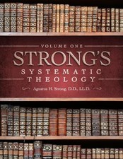 Systematic Theology: Volume 1: The Doctrine of God picture