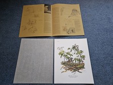 Original 1973 Ray Harm 'Artist Signed' Ltd. Edition Litho White Throated Sparrow picture