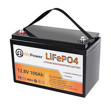 12V 100Ah LiFePO4 Battery Lithium Iron Phosphate for RV Marine Solar System 100A picture