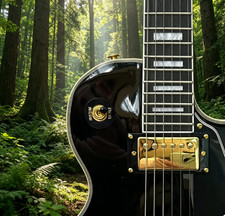 Hot Selling Electric Guitar Mahogany Body Gold Parts HH Pickups Fixed Bridge picture