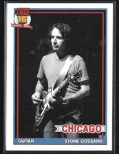 Stone Gossard 2016 Pearl Jam Wrigley Field Trading Card B picture
