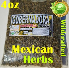 4oz Gobernadora Tea Natural Hierbas Mexicanas Larrea tridentata Chaparral leaf picture