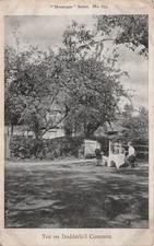 Worcestershire England Tea on Dodderhill Common Vtg Postcard J55 picture