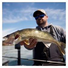 St. Croix AVID SERIES WALLEYE SPINNING - Choose Model picture