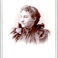 c1880s Freeport, Ills. Lovely Young Lady Quality Cabinet Card Photo Fashion B11 picture