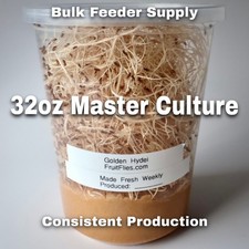 Fruit Fly Cultures Live 6 pack – Melanogaster / Hydei – Dart Frog & Spider Food picture