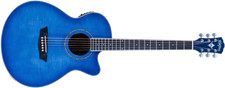 Washburn EA15TBL-U picture