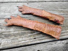 VINTAGE TAXIDERMY ALLIGATOR FEET REAL SKIN HIDE CLAWS SWAMP PEOPLE RARE MAN CAVE picture