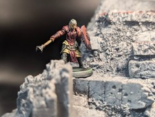 Well painted elven slayer 