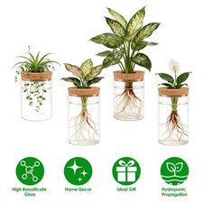 4Pcs Glass Propagation Stations Office Glass Planters Hydroponic Plant Vases US picture
