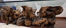 Burl Wood Organic Free Form Live Edge Coffee Table with Beveled Edge Glass Top picture