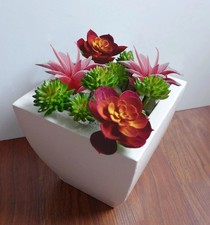 Set of 10 PCS Artificial Mini Plastic Plants Miniature Succulents Grass picture