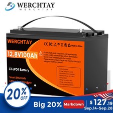 12V 100Ah LiFePO4 Battery Lithium 15000+ Cycles BMS for RV Solar Marine Off Grid picture
