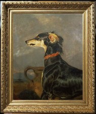 Hand Painted Classical Oil Painting Black Saluki Dog Animal Art Vintage style picture