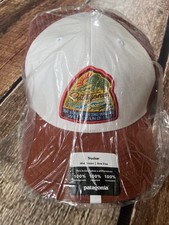 PATAGONIA TAKE A STAND TRUCKER HAT MID CROWN MULTI MENS NEW WITH TAGS picture