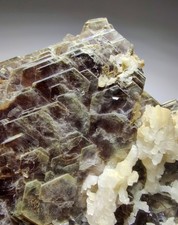 Muscovite crystals with Apatite, Feldspar. Ze Pinto Claim, Brazil. 33 grams. picture