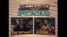 WWF SummerSlam Spectaculars 1991 & 1992 *ORIGINAL BROADCASTS* WWE Hulk Hogan picture