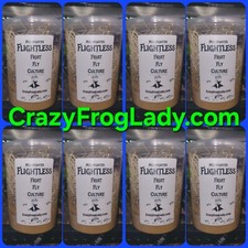 Flightless Fruit Fly 8 PACK cultures  Dart Frog Food Reptile Food  picture