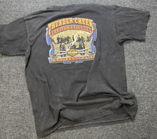Vtg Harley-Davidson T Shirt Mens XL Black 2001 Thunder Creek Chattanooga TN  picture