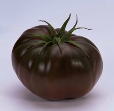30+Cherokee Purple Native American Heirloom Organic Tomato,  picture