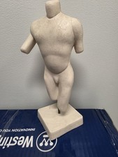 Vintage Anatomical Display picture