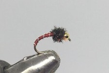 One Dozen (12) - Tungsten Beadhead Zebra Midge - Red/Peacock - Nymph picture