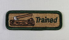 Wood Badge Trained Patch Boy Cub Scout Leader Boy Scouts of America Spoof Comic picture