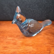 Fenton Blue Jay  picture