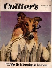 1949 Colliers September 10 - Lassie Collie; Boston Psychopathic;Cutting Redwoods picture