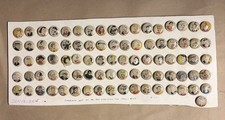 ORIGINAL COMPLETE CIRCA 1940S KELLOGG'S PEP CEREAL PREMIUM PINS LOT OF 86 picture