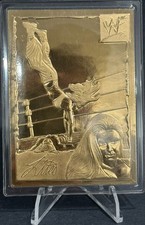1999-2005 Danbury Mint WWF/WWE #15 Lita 22kt Gold picture