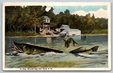 Postcard Large Fish in Lake Story on Back about Hauling Dead Whale c1921 21T picture
