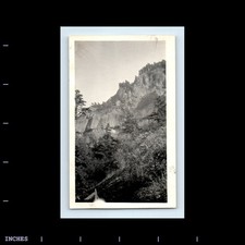 Old Vintage Photo MOUNTAIN LANDSCAPE ROCKS TREES picture