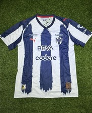 Rayados de Monterrey 2025/26 Home Soccer Jersey picture