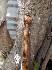 Original Rose Wood Or Mahogany African Cane Ambidextrous Gift Walking Stick Han picture