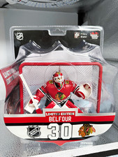 Imports Dragon NHL Ed Belfour #30 Limited Edition Figure w/Goal Net & Gear picture