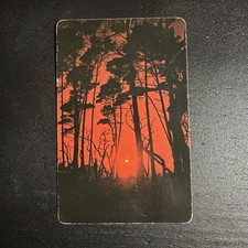 Deep Orange VTG Forest Silhouette Single Swap Playing Card picture