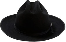 Stetson mens Royal Deluxe Open Road picture